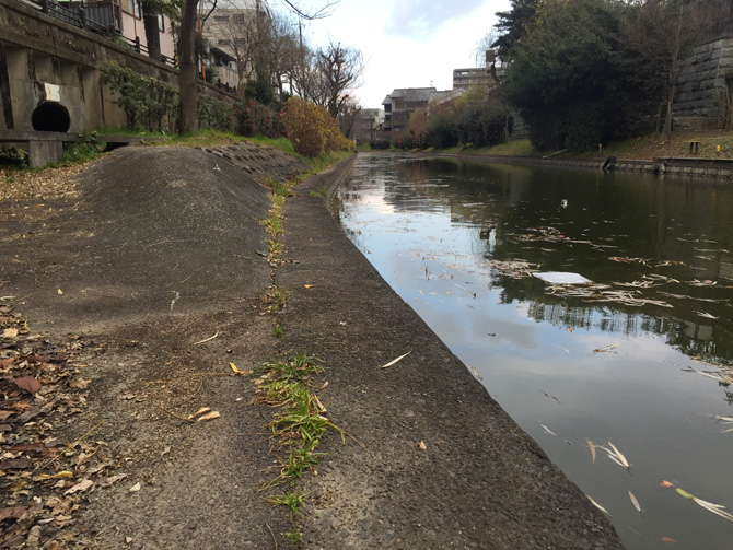 宇治川派流域運河